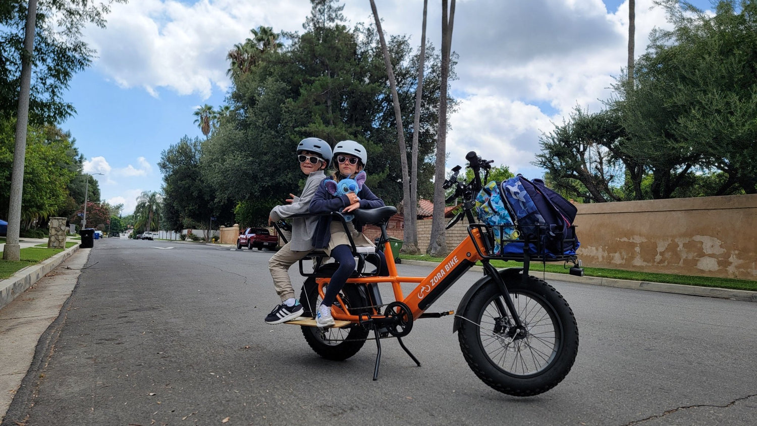 Fall E-Bike Riding Guidelines - Zora Bike