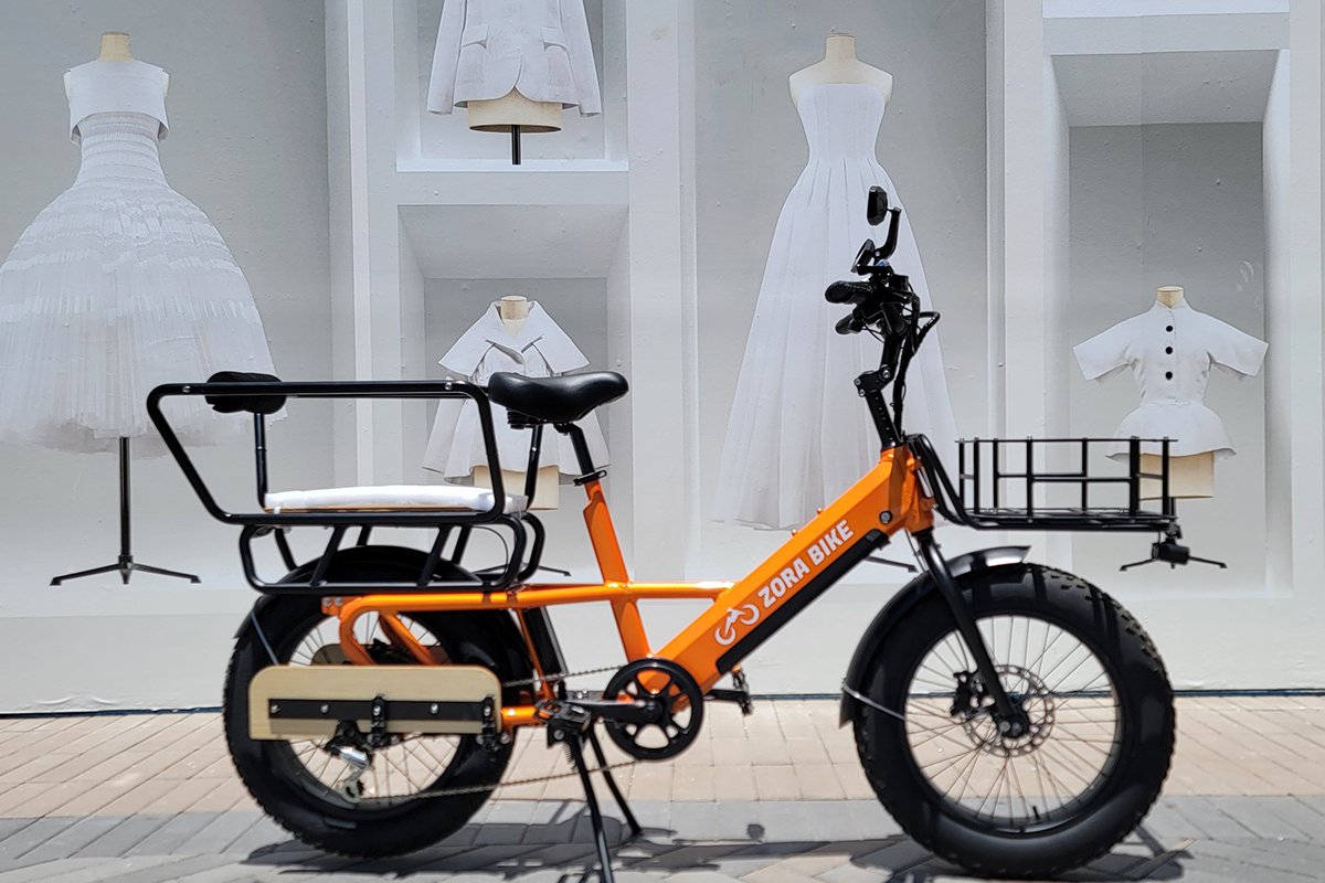 Sale Bike For Cargo Best | for Master Electric Zora Family Bikes | Electric